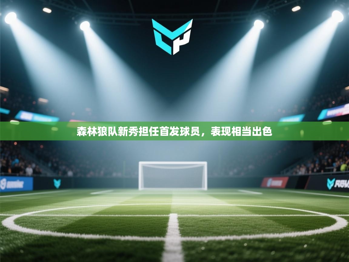 问鼎娱乐app-森林狼队新秀担任首发球员,表现相当出色  第2张