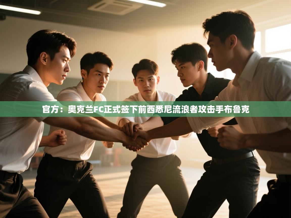 问鼎体育官网-官方:奥克兰FC正式签下前西悉尼流浪者攻击手布鲁克 第4张