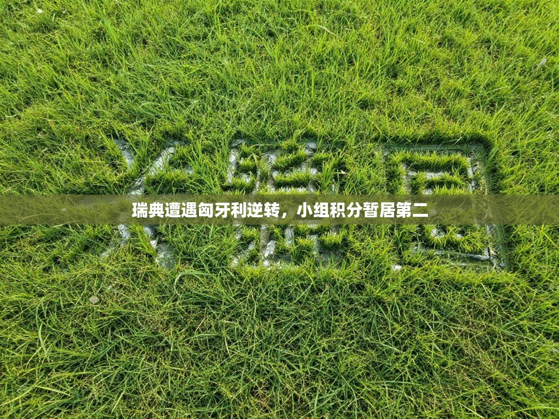 问鼎体育app下载-瑞典遭遇匈牙利逆转，小组积分暂居第二  第1张