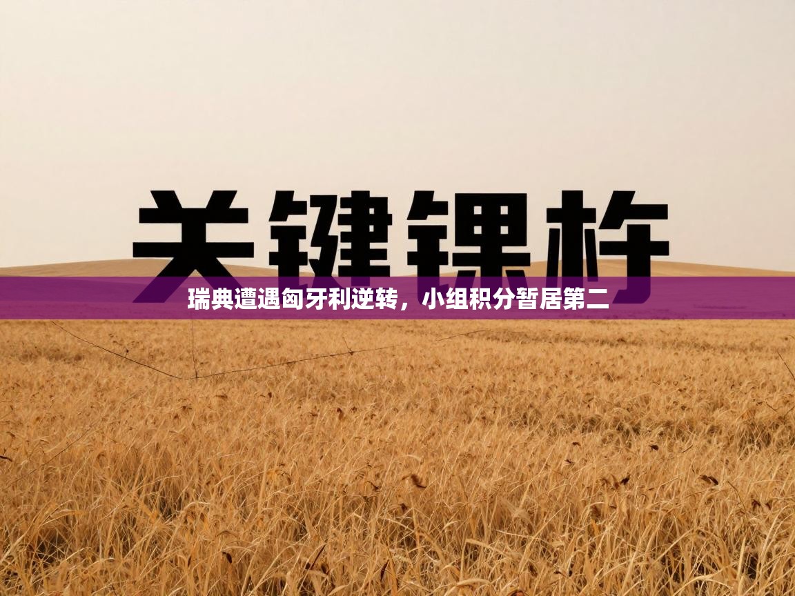 问鼎体育app下载-瑞典遭遇匈牙利逆转，小组积分暂居第二  第4张