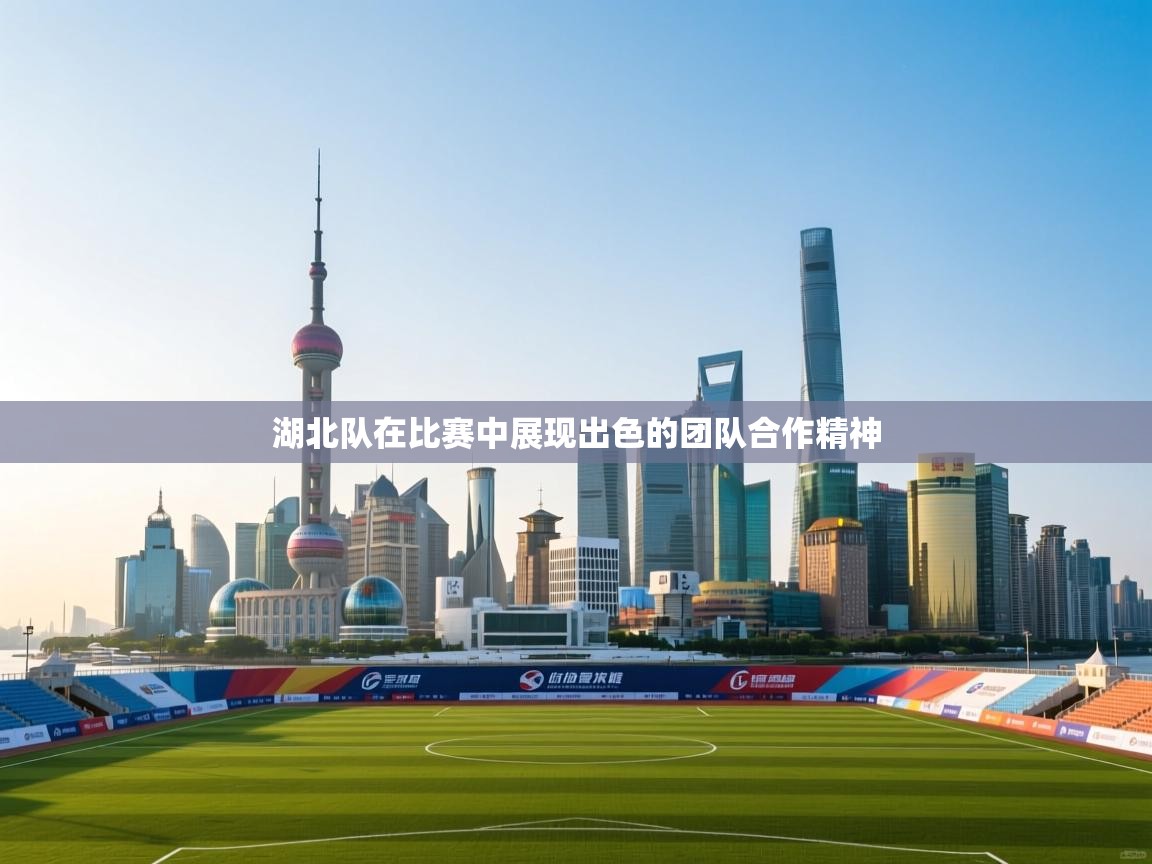 问鼎体育娱乐电子网页版入口-湖北队在比赛中展现出色的团队合作精神  第1张