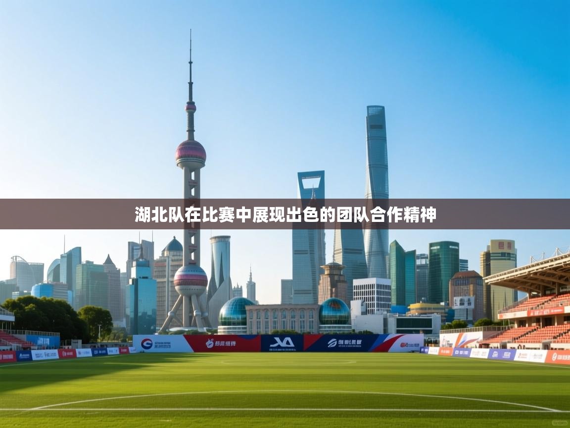 问鼎体育娱乐电子网页版入口-湖北队在比赛中展现出色的团队合作精神  第2张