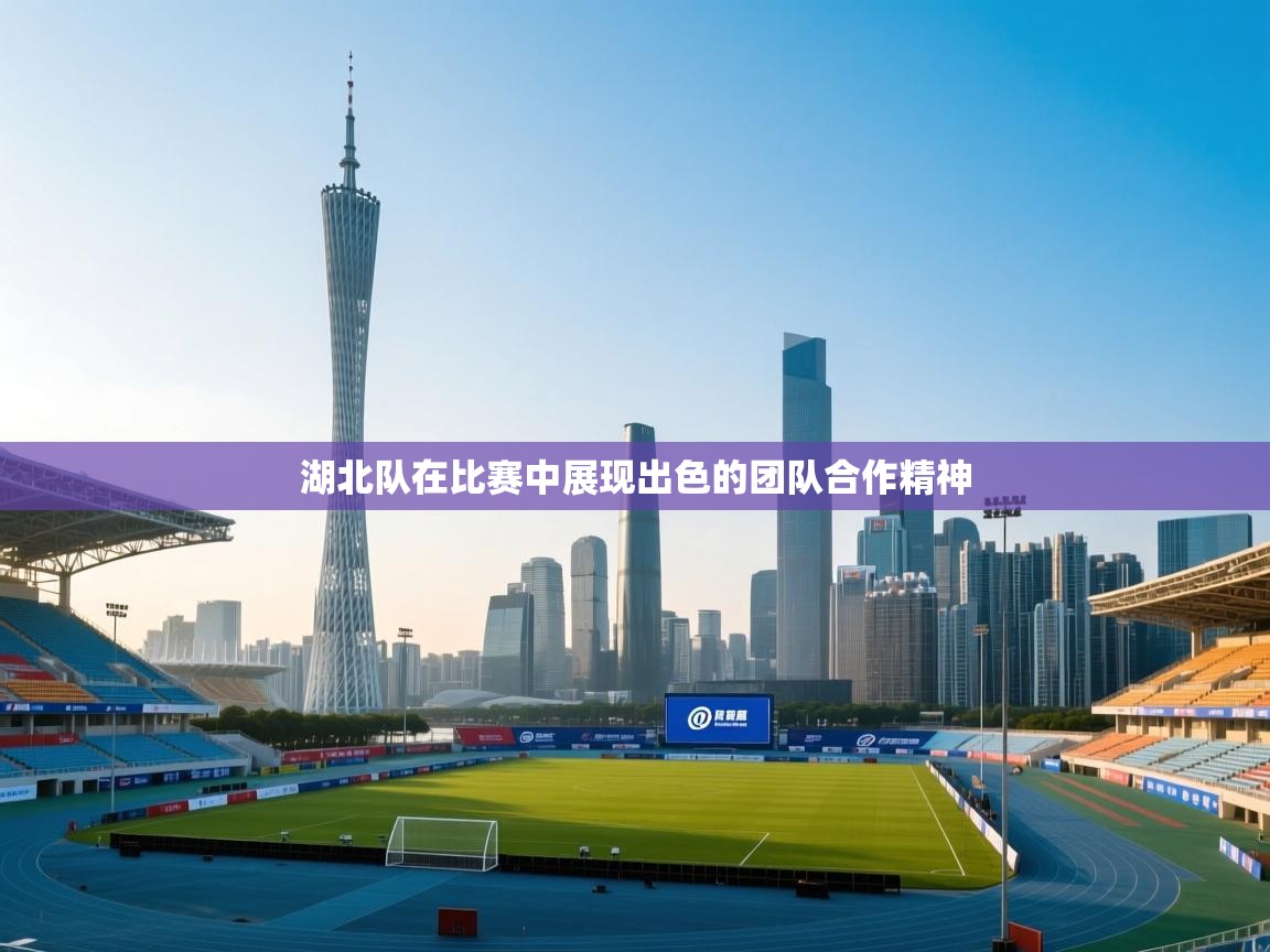 问鼎体育娱乐电子网页版入口-湖北队在比赛中展现出色的团队合作精神  第3张