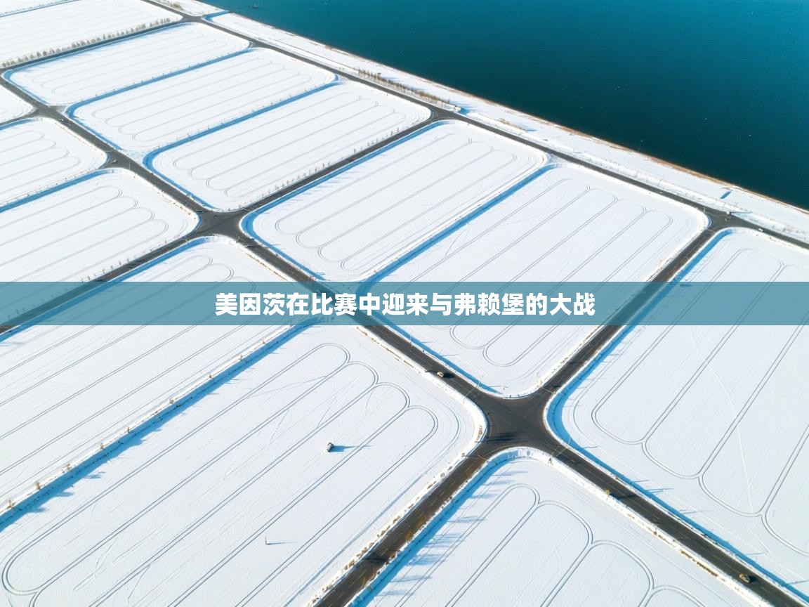 问鼎体育官网点此进入-美因茨在比赛中迎来与弗赖堡的大战 第4张